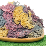 Full Spectrum Seamoss: Nature's Nutrient-Packed Treasure-2
